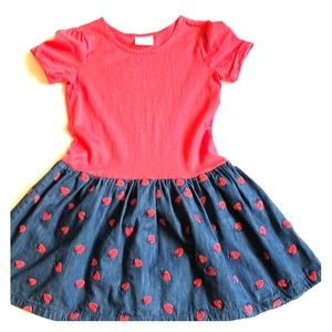 Girls Hanna Andersson dress